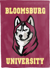 Load image into Gallery viewer, bloomsburg university double sided house flag for college dorm decor