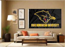 Load image into Gallery viewer, indoor display of ohio dominican university flag for man cave decor