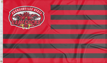 Load image into Gallery viewer, usa flag style jacksonville state gamecocks national flag for college dorm decor