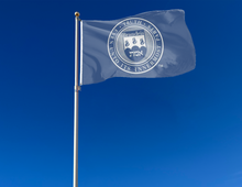 Load image into Gallery viewer, outdoor display of blue brandeis university seal flag for tailgate decor
