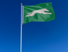 Load image into Gallery viewer, outdoor display of green eastern new mexico university flag for tailgate decor