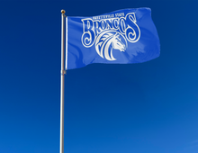 Load image into Gallery viewer, outdoor display of blue fayetteville state university broncos flag for tailgate decor