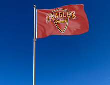 Load image into Gallery viewer, outdoor display of flagler college saints flag for tailgate decor
