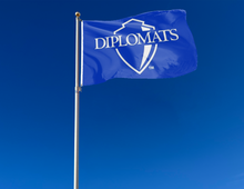 Load image into Gallery viewer, outdoor display of blue franklin marshall university diplomats flag for tailgate decor