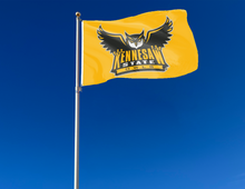 Load image into Gallery viewer, outdoor display of gold kennesaw state owls flag for tailgate decor