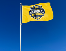 Load image into Gallery viewer, outdoor display of gold michigan 2026 march madness basketball champions flag as part of tailgate decor