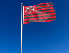 Load image into Gallery viewer, outdoor display of usa flag style jacksonville state national flag for tailgate decor