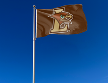 Load image into Gallery viewer, outdoor display of lehigh university flag for tailgate decor