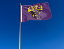 Load image into Gallery viewer, outdoor display of minnesota state university mavericks flag for tailgate decor
