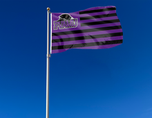 Load image into Gallery viewer, outdoor display of pvamu panthers national flag for tailgate decor