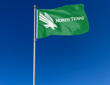 Load image into Gallery viewer, outdoor display of green university of north texas flag for tailgate decor