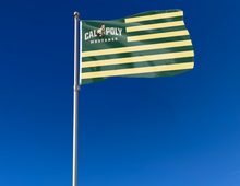 Load image into Gallery viewer, outdoor display of usa flag style cal poly mustangs flag for tailgate decor