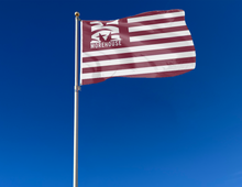 Load image into Gallery viewer, outdoor display of usa flag style morehouse college flag for tailgate decor