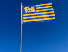 Load image into Gallery viewer, outdoor display of usa flag style university of pittsburgh flag for tailgate decor