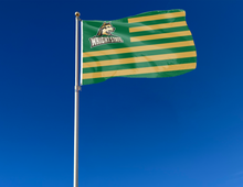 Load image into Gallery viewer, outdoor display of usa flag style wright state raiders flag for tailgate decor
