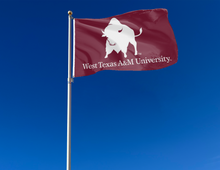 Load image into Gallery viewer, outdoor display of west texas a&m university buffs 3x5 flag for tailgate decor