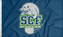 Load image into Gallery viewer, blue state college of florida flag for college dorm decor