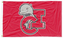 Load image into Gallery viewer, California State University Channel Islands - Dolphins 3x5 Flag