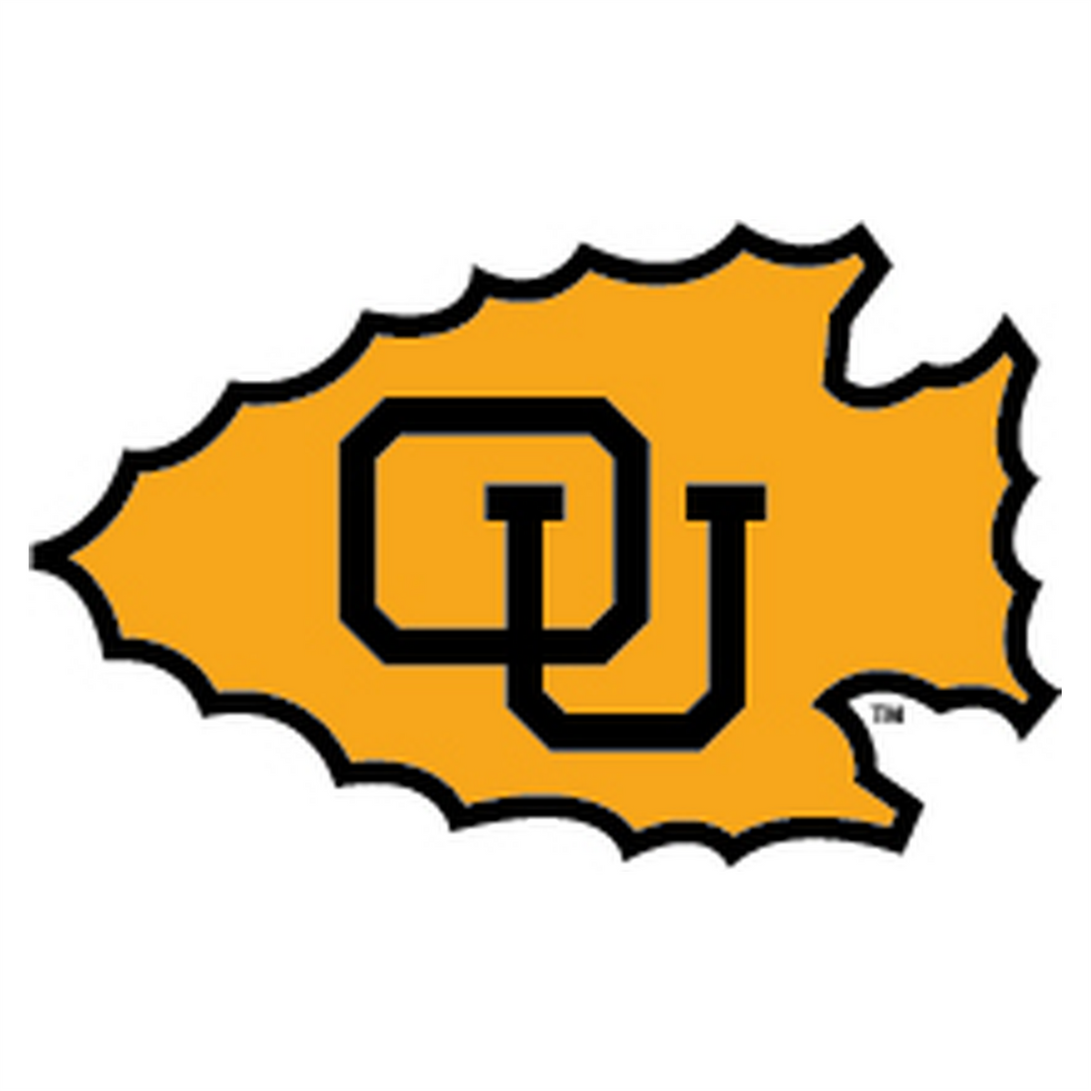 Ottawa University A To Z Flags LLC ottawa-university-a-to-z-flags-llc