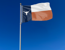 Load image into Gallery viewer, 3x5 State of Texas Flag Style University of Texas Flag
