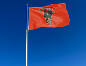 3x5 Texas Tech Masked Rider Flag