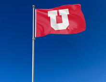 Load image into Gallery viewer, University of Utah - Utah Utes 3x5 Flag
