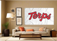 Load image into Gallery viewer, University of Maryland - Terps White 3x5 Flag

