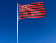 Load image into Gallery viewer, University of Maryland - Terrapins National 3x5 Flag
