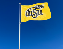 Load image into Gallery viewer, Wichita State University - WSU Gold 3x5 Flag
