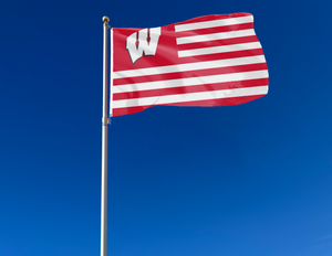 University of Wisconsin - Badgers National 3x5 Flag