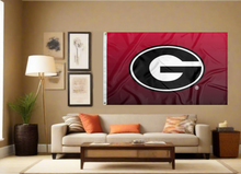 Load image into Gallery viewer, 3x5 University of Georgia Flag
