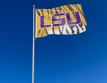 Load image into Gallery viewer, LSU - Tiger Skin 3x5 Flag
