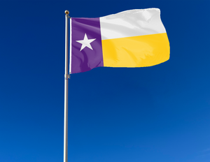 LSU -  Flag of Texas Style 3x5 Flag