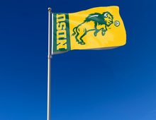 Load image into Gallery viewer, North Dakota State -  NDSU 3x5 Flag
