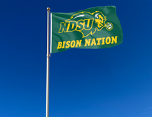 Load image into Gallery viewer, North Dakota State - Bison Nation 3x5 Flag
