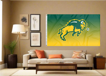 Load image into Gallery viewer, North Dakota State - Gradient Bison 3x5 Flag
