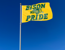 Load image into Gallery viewer, North Dakota State - Bison Pride 3x5 Flag
