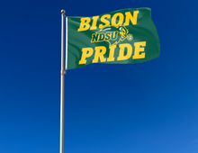 Load image into Gallery viewer, North Dakota State - Bison Pride 3x5 Flag
