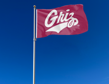 Load image into Gallery viewer, University of Montana - Griz Maroon 3x5 Flag
