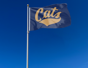 Montana State - CATS 3x5 Flag