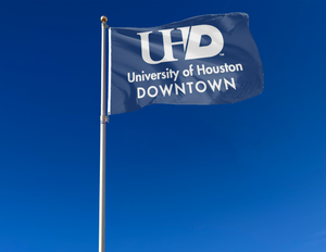 Houston - UH Downtown Blue 3x5 Flag