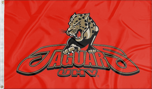 Houston - Victoria Jaguars 3x5 Flag