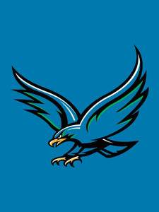 Houston - Clearwater Blue House Flag
