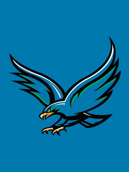Houston - Clearwater Blue House Flag