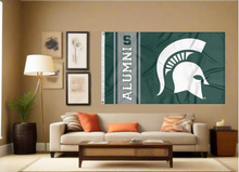 Load image into Gallery viewer, 3x5 Michigan State University Flag with Alumni Logo
