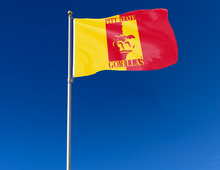 Load image into Gallery viewer, Pittsburg State University - Gorillas 3x5 Flag
