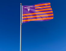 Load image into Gallery viewer, Northwestern Louisiana State University - National 3x5 Flag
