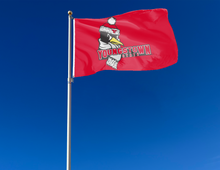 Load image into Gallery viewer, Youngstown State University - Youngstown State Penguins 3x5 Flag
