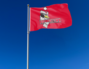 Youngstown State University - Youngstown State Penguins 3x5 Flag