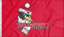 Load image into Gallery viewer, Youngstown State University - Youngstown State Penguins 3x5 Flag
